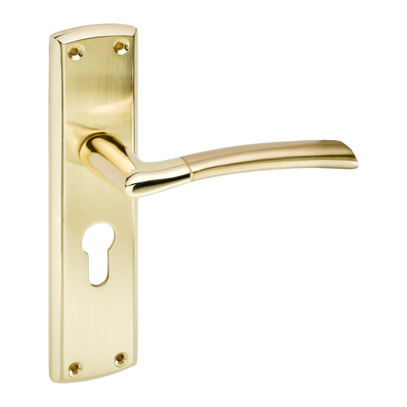 Eclipse - Tifosi Lever Bathroom Door Handle on Backplate Set -  Polished Brass / Satin Brass -  63151 - Choice Handles