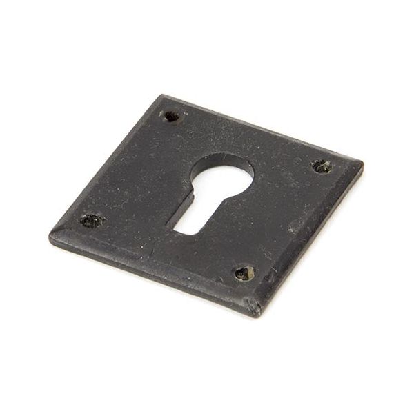 From The Anvil - External Beeswax Avon Escutcheon - External Beeswax  - 91487