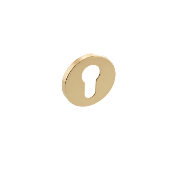 Millhouse Brass Euro Escutcheons on 5mm Slimline Round Rose - Polished Brass - MHSREPB