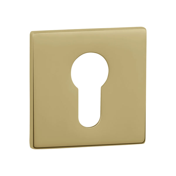 Tupai Exclusivo 5S Line Euro Escutcheons on 5mm Slimline Square Rose - Raw Brass - XTESCES5SRB