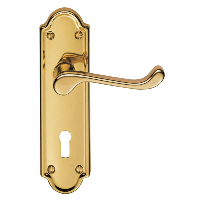 Carlisle Brass - Ashtead Lever on Lock Backplate - Polished Brass - DL17 - Choice Handles