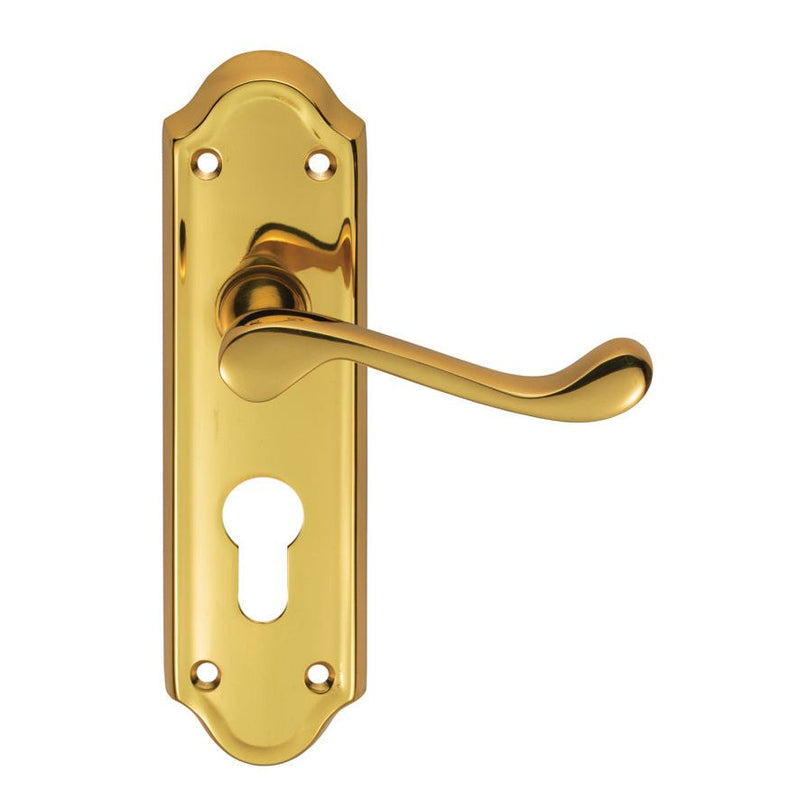 Carlisle Brass - Ashtead Lever on Euro Lock Backplate - Polished Brass - DL17Y - Choice Handles