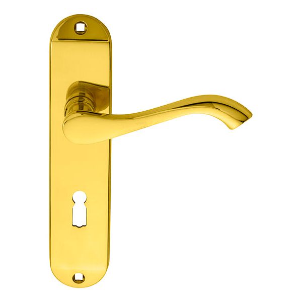 Carlisle Brass - Andros Lever on Lock Backplate - Polished Brass - DL180 - Choice Handles