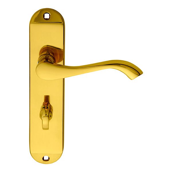 Carlisle Brass - Andros Lever on WC Backplate - Polished Brass - DL182 - Choice Handles