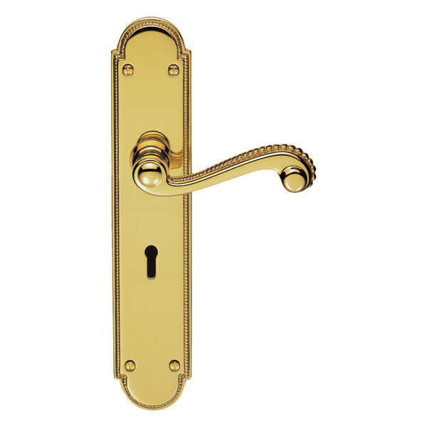 Carlisle Brass - Chesham Lever on Long Lock Backplate - Polished Brass - DL271 - Choice Handles