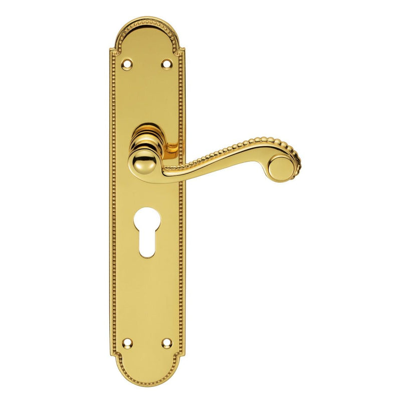 Carlisle Brass - Chesham Lever on Euro Lock Long Backplate - Polished Brass - DL271Y - Choice Handles