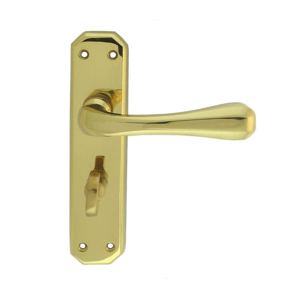 Carlisle Brass - Eden Lever on WC  Backplate - Polished Brass - DL412 - Choice Handles