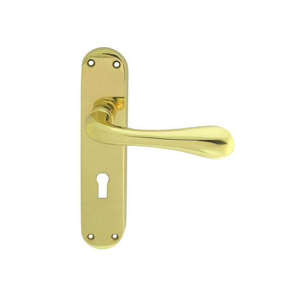 Manital - Astro Lever on Lock Backplate - Polished Brass - EL21 - Choice Handles