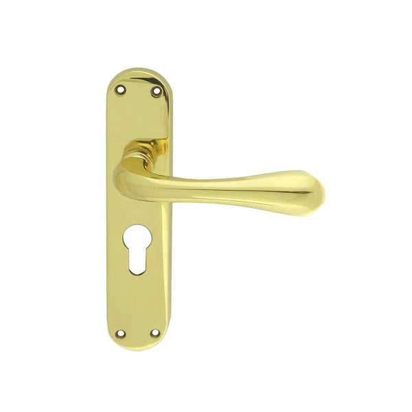 Manital - Astro Lever on Euro Lock Backplate - Polished Brass - EL21Y - Choice Handles