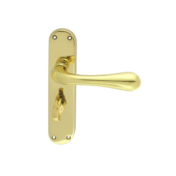 Manital - Astro Lever on WC Backplate - Polished Brass - EL23 - Choice Handles