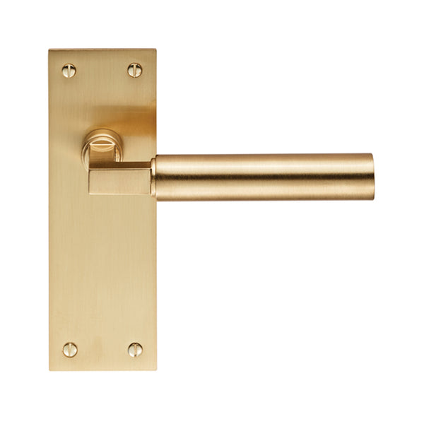 Carlisle Brass - Amiata Lever on Backplate Latch  - Satin Brass - EUL042SB - Choice Handles