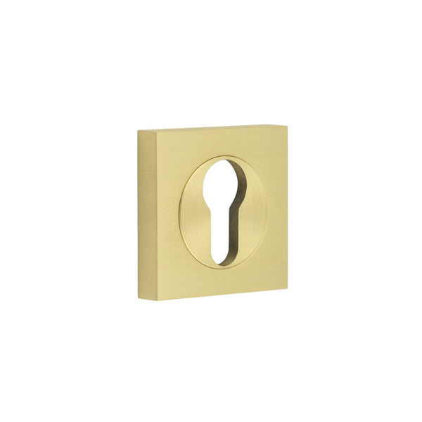 Burlington - Euro Profile Escutcheons Square Plain Rose - Satin Brass - BUR-61SB-171SB - Choice Handles