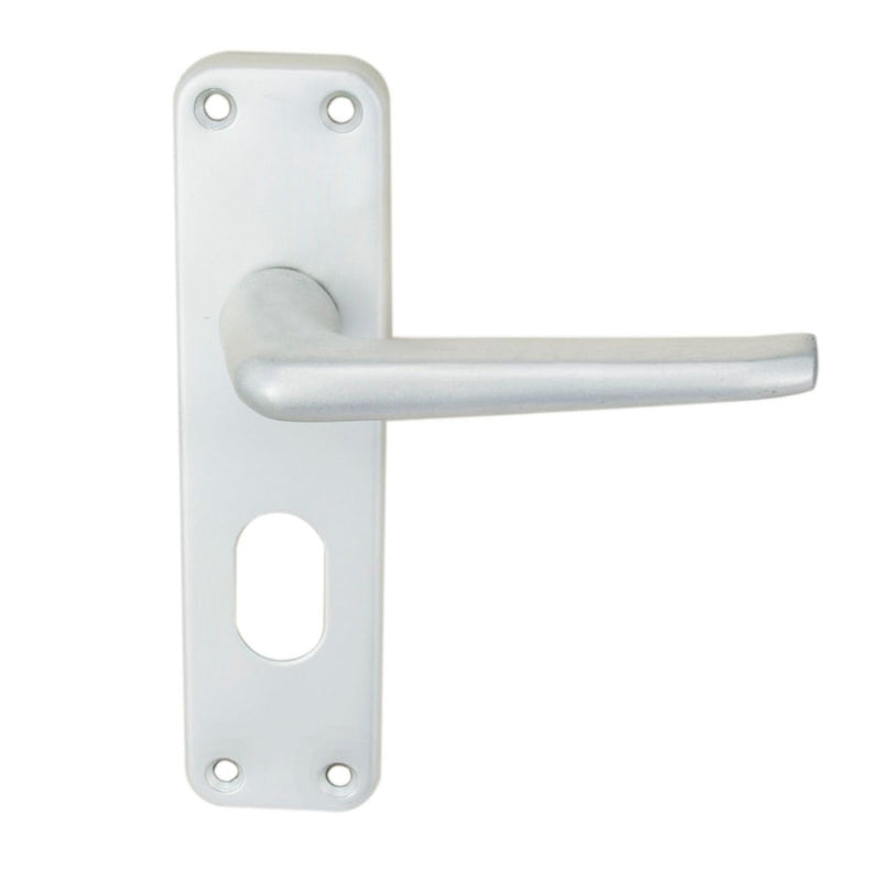 Eurospec - Aluminium Lever On Backplate - Lock Oval Profile 48.5mm C/C - Satin Anodised Aluminium - SAA21U - Choice Handles