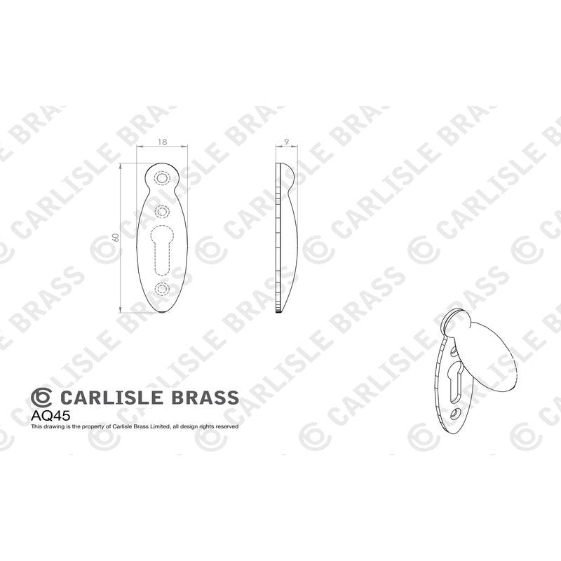 Carlisle Brass - Pear Drop Covered Escutcheon  - Polished Brass - AQ45 - Choice Handles